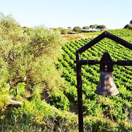 Quinta Do Vento By Be@home Villa Palmela
